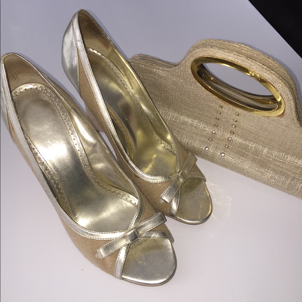 Metallic shoe with matching clutch